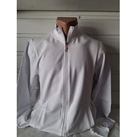 Кофта спортивна чоловіча 2125 white р.S-2XL "RING" недорого оптом від прямого постачальника