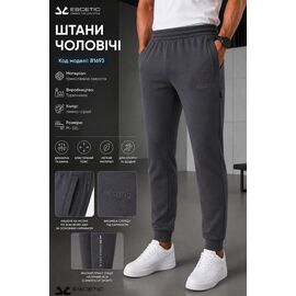 Штани спортивні чоловічі AZ1246-B1693 d.grey р.M-3XL "REMAIN" недорого оптом від прямого постачальника