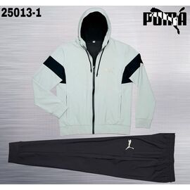 Костюм спортивний чоловічий AZ1267-25013-1 mint р.M-3XL "REMAIN" недорого оптом від прямого постачальника