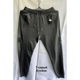 Фотография Штаны спортивные мужские 3009 grey р.M-3XL "WELL" недорого оптом от прямого поставщика