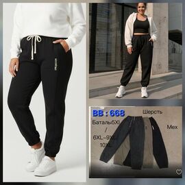 Штани спортивні жіночі теплі BB668 mix р.3XL-7XL "Hoan" недорого оптом від прямого постачальника