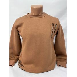 Фотография Свитер мужской SB2311 beige р.S-2XL "Sabihina" недорого оптом от прямого поставщика