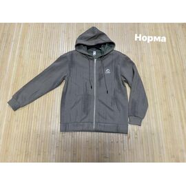 Фотография Кофта спортивная мужская NV2411 grey р.L-4XL "Navas" недорого оптом от прямого поставщика