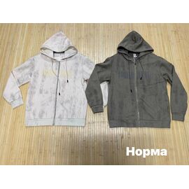 Фотография Кофта спортивная мужская NV2412 l.grey р.L-4XL "Navas" недорого оптом от прямого поставщика