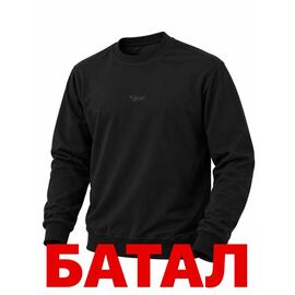 Светр чоловічий 15020 black р.2XL-6XL "Alex Clothes" недорого оптом від прямого постачальника