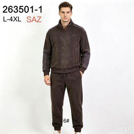 Фотография Костюм спортивный мужской 263501-1 brown р.L-4XL "WHITE" недорого оптом от прямого поставщика