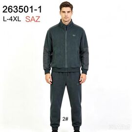 Фотография Костюм спортивный мужской 263501-1 grey р.L-4XL "WHITE" недорого оптом от прямого поставщика