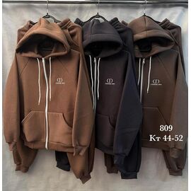 Фотография Костюм спортивный женский S4600 brown р.44-52 "Shon" недорого оптом от прямого поставщика