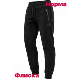 Штани спортивні чоловічі утеплені 15051 black р.S-2XL "Alex Clothes" недорого оптом від прямого постачальника