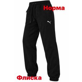 Штани спортивні чоловічі утеплені 15052 black р.S-2XL "Alex Clothes" недорого оптом від прямого постачальника