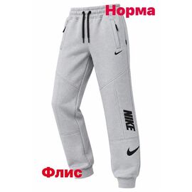 Штани спортивні чоловічі утеплені 15058 grey р.S-2XL "Alex Clothes" недорого оптом від прямого постачальника