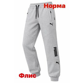 Штани спортивні чоловічі утеплені 15059 grey р.S-2XL "Alex Clothes" недорого оптом від прямого постачальника