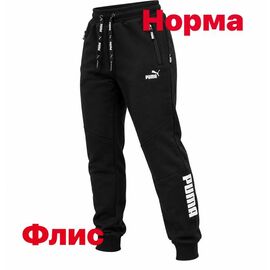 Штани спортивні чоловічі утеплені 15064 black р.S-2XL "Alex Clothes" недорого оптом від прямого постачальника