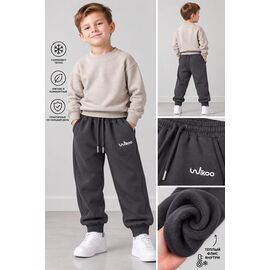 Фотография Штаны детские спортивные зимние на мальчика FK1216 grey р.4-8 "Fili kids" недорого оптом от прямого поставщика