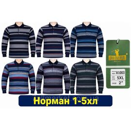 Кофта чоловіча спортивна з капюшоном/на хутрі розміри M -3XL (48-56) (3цв) "Stella" недорого від прямого постачальника