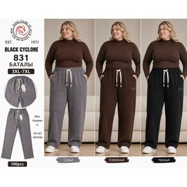 Фотография Штаны спортивные женские тёплые 831 black р.3XL-7XL "Hoan" недорого оптом от прямого поставщика