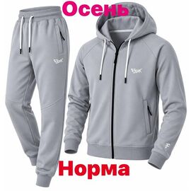 Костюм спортивний чоловічий 15071 grey р.S-2XL "Alex Clothes" недорого оптом від прямого постачальника
