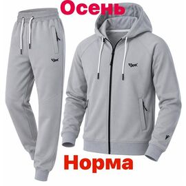 Костюм спортивний чоловічий 15072 grey р.S-2XL "Alex Clothes" недорого оптом від прямого постачальника