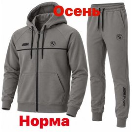 Костюм спортивний чоловічий 15084 grey р.S-2XL "Alex Clothes" недорого оптом від прямого постачальника