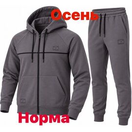 Костюм спортивний чоловічий 15085 grey р.S-2XL "Alex Clothes" недорого оптом від прямого постачальника
