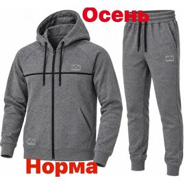 Костюм спортивний чоловічий 15086 grey р.S-2XL "Alex Clothes" недорого оптом від прямого постачальника