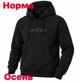 Худи чоловічий 15075 black р.S-2XL "Alex Clothes" недорого оптом від прямого постачальника