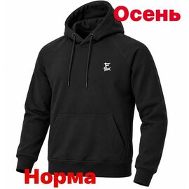 Худи чоловічий 15081 black р.S-2XL "Alex Clothes" недорого оптом від прямого постачальника