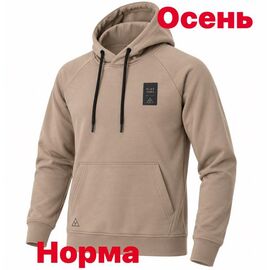 Худи чоловічий 15082 beige р.S-2XL "Alex Clothes" недорого оптом від прямого постачальника