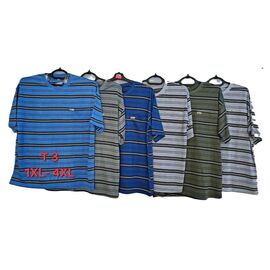Фотография Футболка мужская T3 mix р.XL-4XL "Anion" недорого оптом от прямого поставщика