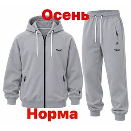 Фотография Костюм спортивный мужской 15109 grey р.S-2XL "Alex Clothes" недорого оптом от прямого поставщика