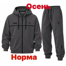 Фотография Костюм спортивный мужской 15110 grey р.S-2XL "Alex Clothes" недорого оптом от прямого поставщика