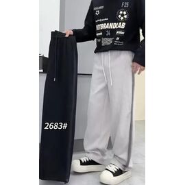Фотография Штаны спортивные мужские утеплённые 2683 grey р.31-36 "F.T.H" недорого оптом от прямого поставщика