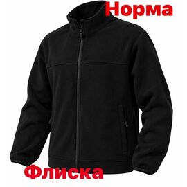 Фотография Кофта спортивная мужская 15161 black р.S-2XL "Alex Clothes" недорого оптом от прямого поставщика