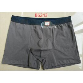 Труси чоловічі B6243 grey р.XL-4XL "BASE" недорого оптом від прямого постачальника
