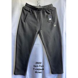 Фотография Штаны спортивные мужские утеплённые 2922 grey р.3XL-7XL "WELL" недорого оптом от прямого поставщика