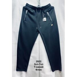 Фотография Штаны спортивные мужские утеплённые 2922 navy р.3XL-7XL "WELL" недорого оптом от прямого поставщика