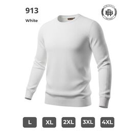 Фотография Свитер мужской 913 white р.L-4XL "2BRO" недорого оптом от прямого поставщика