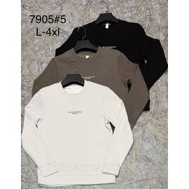Фотография Свитшот мужской стильный  р-ры L-4XL (3цв)"PROSTOMEN"оптом напрямую от поставщика