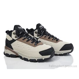 Кросівки жіночі модні Зима T9087-6 (8 пар р.36-41) "Ok Shoes" недорого оптом від прямого постачальника
