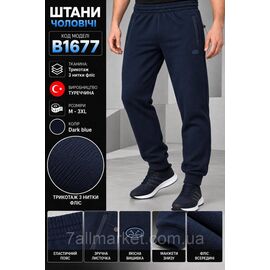 Фотография Спортивные штаны мужские на флисе Escetic размеры M-3XL "REMAIN" недорого от прямого поставщика