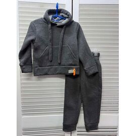 Костюм дитячий спортивний теплий на хлопчика DL6 grey р.80-140 "Delfinka" недорого оптом від прямого постачальника