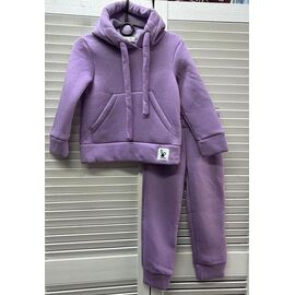 Костюм дитячий спортивний теплий на дівчинку DL8 lilac р.86 "Delfinka" недорого оптом від прямого постачальника