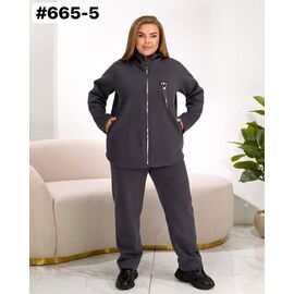 Фотография Костюм спортивный женский 665-5 grey р.50-60 "ZLATA" недорого оптом от прямого поставщика