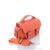 Жіноча сумка 2128-11 orange 15*17*8 см, "David Polo" недорого оптом від прямого постачальника Жіноча сумка 2128-11 orange 15*17*8 см, "David Polo" недорого оптом від прямого постачальника