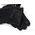 Перчатки женские Зима 1-003 black (10 шт. р.сетка 6,5-8,5) "KUINH" недорого оптом от прямого поставщика, изображение 2 Фотография Перчатки женские Зима 1-003 black (10 шт. р.сетка 6,5-8,5) "KUINH" недорого оптом от прямого поставщика, изображение 2