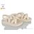 Босоніжки дитячі літні Літо 25A2603 beige (7 пар р.31-37) "Clibee-Doremi" недорого оптом від прямого постачальника