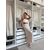 Жіноча спідниця оптом Літо 5517 беж (4 шт. р.сіткаS-XL) "Akulova" недорого оптом від прямого постачальника, зображення 2