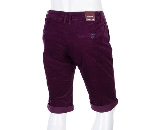 Шорты мужские LS14-0019X (01683) wine р.27-34 "Obuv OK2" недорого оптом от прямого поставщика, изображение 2 Фотография Шорты мужские LS14-0019X (01683) wine р.27-34 "Obuv OK2" недорого оптом от прямого поставщика, изображение 2