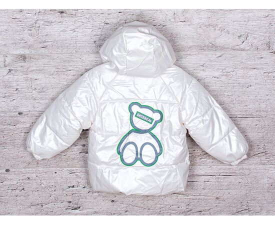 Куртка дитяча демісезонна унісекс 3791-11 р.100-140 "BIG clothes" недорого оптом від прямого постачальника, зображення 2