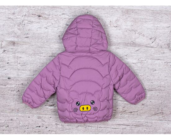 Куртка детская демисезонная на девочку 3791-6 р.80-120 "BIG clothes" недорого оптом от прямого поставщика, изображение 2 Фотография Куртка детская демисезонная на девочку 3791-6 р.80-120 "BIG clothes" недорого оптом от прямого поставщика, изображение 2